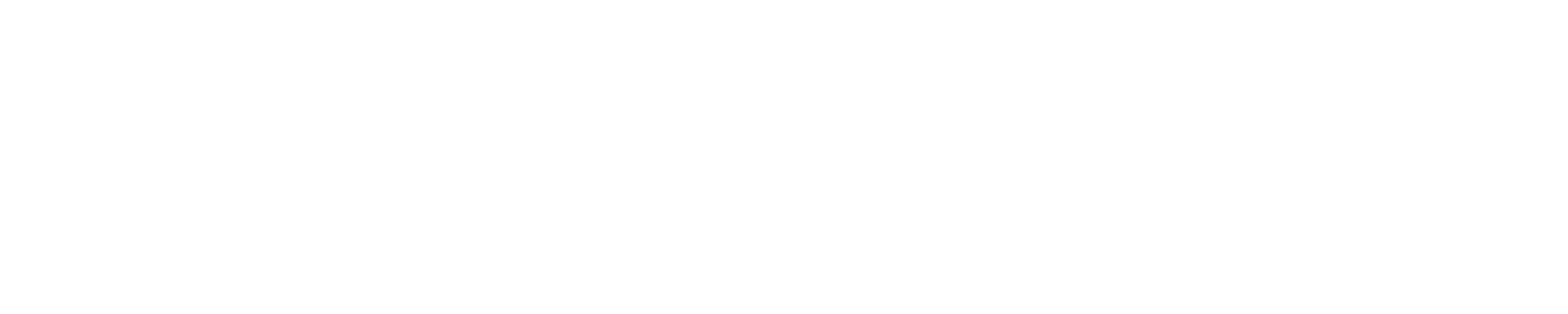 footer-logo